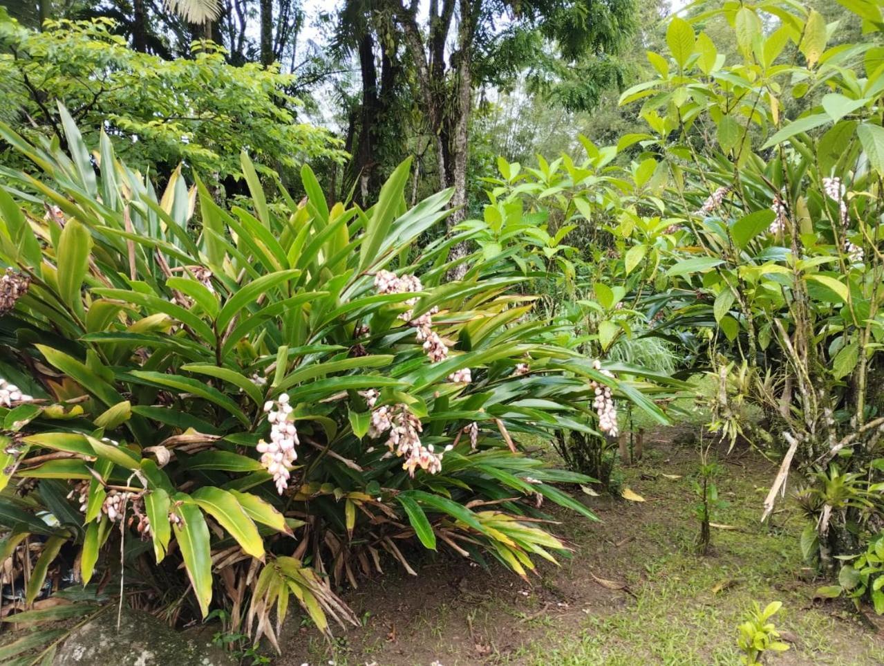 Pousada Morretes Arraial Zewnętrze zdjęcie