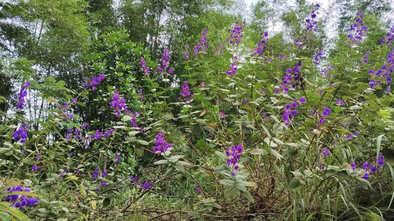 Pousada Morretes Arraial Zewnętrze zdjęcie