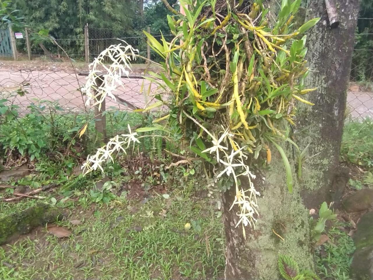 Pousada Morretes Arraial Zewnętrze zdjęcie