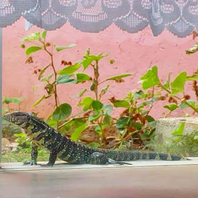 Pousada Morretes Arraial Zewnętrze zdjęcie